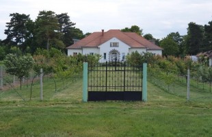 KÚRIA A BALATON SZOMSZÉDSÁGÁBAN