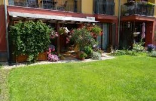 KERESEK! Pécsett kertkapcsolatos kis lakást!