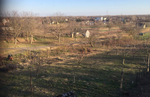 MOHÁCSI SZŐLŐHEGY