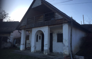 MOHÁCSI SZŐLŐHEGY