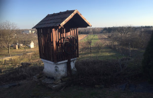 MOHÁCSI SZŐLŐHEGY