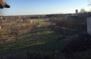 MOHÁCSI SZŐLŐHEGY