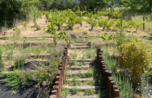 ÉKSZERDOBOZ PÉCS - KIS-POSTAVÖLGYBEN